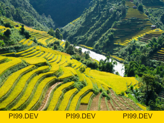 Sapa - Fansipan 4N3D - Công ty du lịch Viva Star - pi99