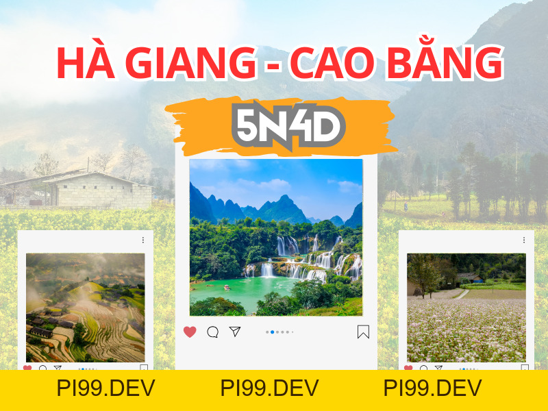 Viva Star Travel - Công ty du lịch Viva Star - pi99