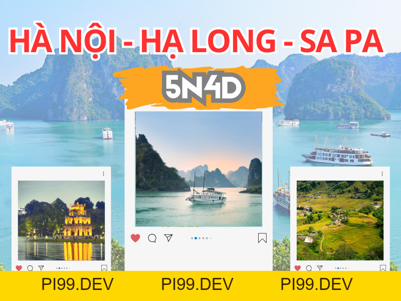 Viva Star Travel - Công ty du lịch Viva Star - pi99