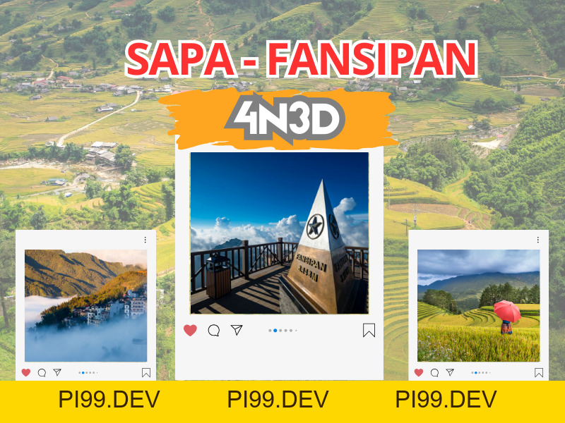 Viva Star Travel - Công ty du lịch Viva Star - pi99