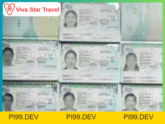 Quy Trình Xin Visa Mỹ Tại Viva Star Travel - Công ty du lịch Viva Star - pi99